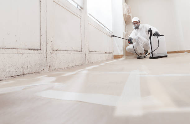 24/7 Emergency Basement Mold Removal experts in Bonita Springs, FL